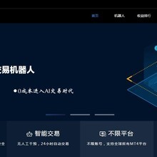 凤凰国际集团